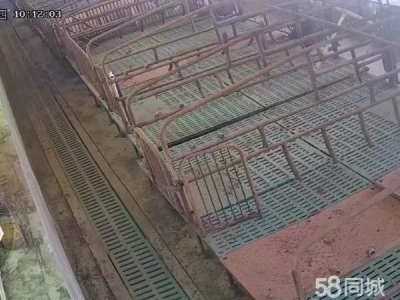 明水本人自己的房子，可租，可售，可以合作养殖图1