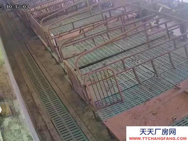 绥棱坚果厂房出售，配套设施及证照齐全，交通方便，靠近公路
