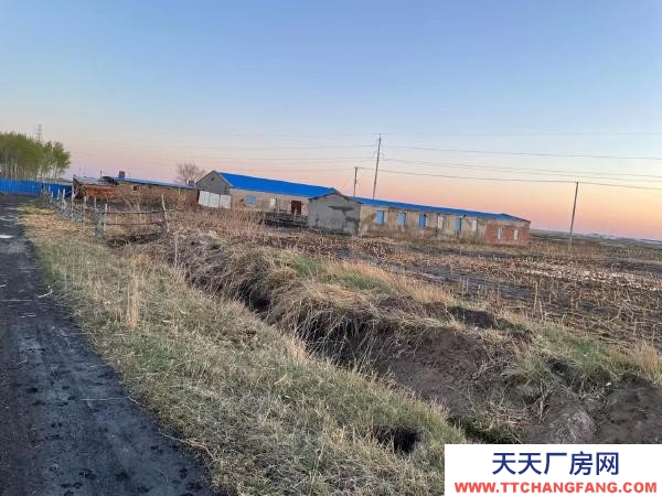 安达西十八里有15000多平！适合养殖！附带3000多棵树