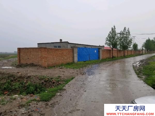 安达 空气好养猪养牛好地点，也可以当别墅出门就是203国道