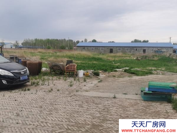 安达鸡养殖场，现经营中，设备齐全