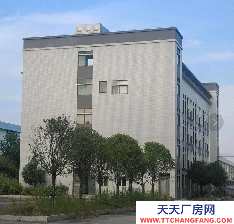赣州市兴国调味品厂房  兴国县大型厂房出租 交通便利 环境优越