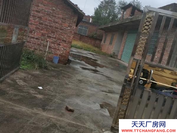 赣州市兴国机加工厂房  价格面议！埠头加油站往赣州方向三百 仓库 300平米