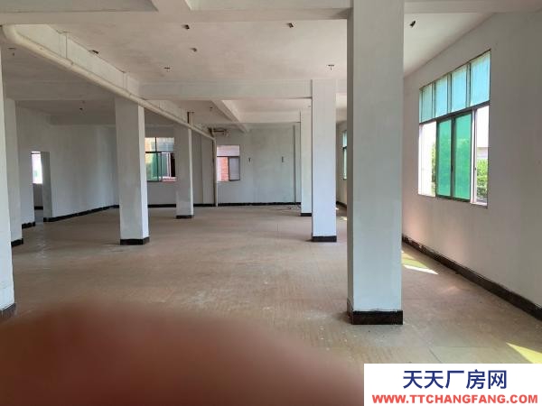 赣州市兴国机加工厂房 兴国红门工业园厂房交通采光好