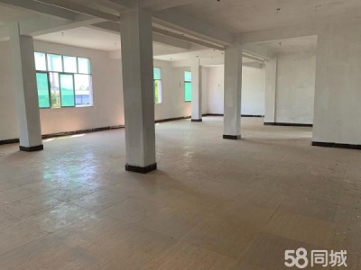 赣州市兴国机加工厂房 兴国红门工业园厂房交通采光好图3