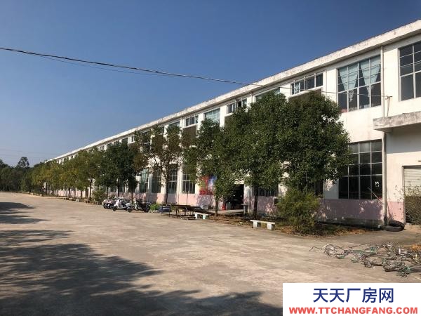 赣州市兴国酱腌菜厂房  洪门工业园标准厂房出租