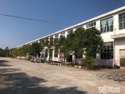 赣州市兴国酱腌菜厂房  洪门工业园标准厂房出租图4