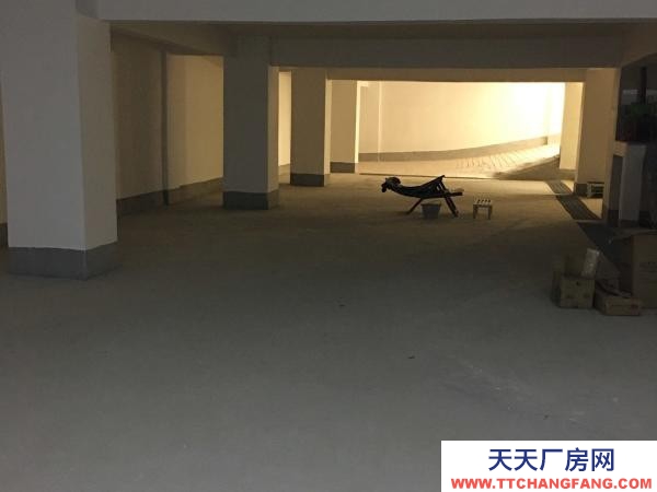 赣州市兴国物资仓库 兴国中学安置区（状元府）后面地下室招租