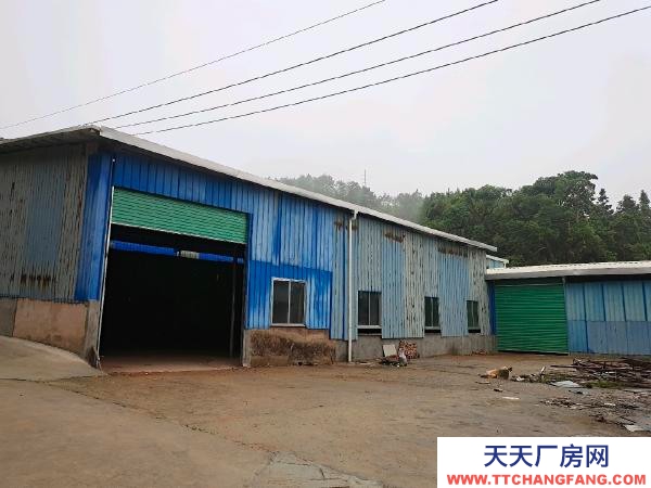 赣州市安远机加工厂房  安远县九龙工业园旁厂房仓库出租