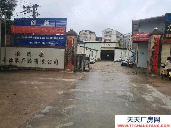 赣州市安远机加工厂房  安远县九龙工业园旁厂房仓库出租