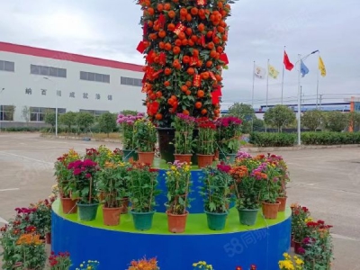 赣州市寻乌电子厂房  寻乌花园式厂房出租，可生产五金.电子等各种重型工业，仓储物流图4