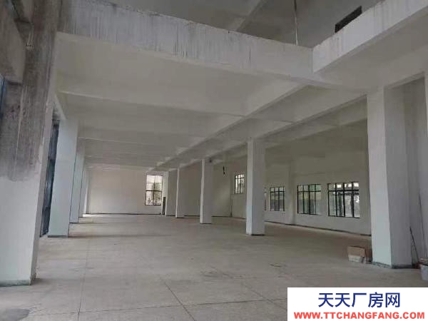 赣州市寻乌调味品厂房  出租新厂房，直接使用，江西省赣州市寻乌县石排，可分租。
