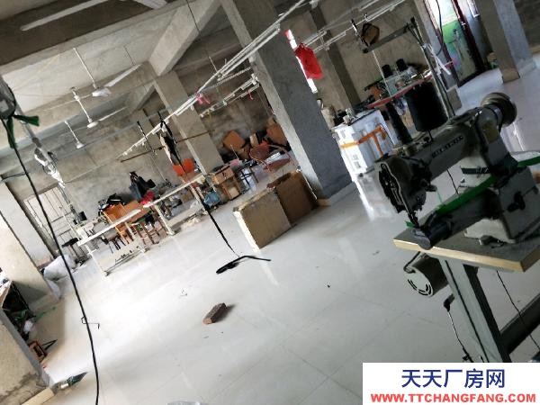 赣州市定南机加工厂房 二楼厂房出租天九镇