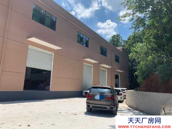 九江市浔阳糕点厂房  出租滨江路厂房，带电梯，可办公可做仓库，价格面议