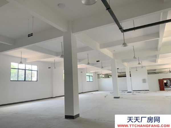 九江市浔阳糕点厂房  出租滨江路厂房，带电梯，可办公可做仓库，价格面议