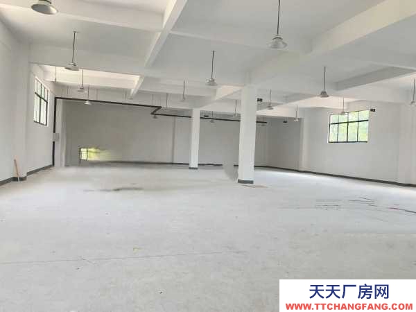 九江市浔阳糕点厂房  出租滨江路厂房，带电梯，可办公可做仓库，价格面议