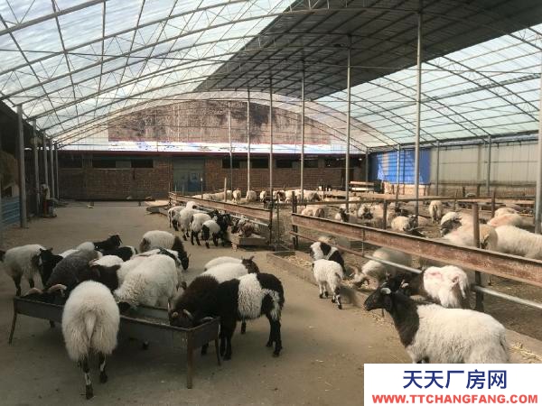 大通养殖很合适，直接用就行