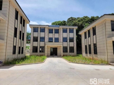 九江市浔阳腌腊肉制品厂房 出租滨江路 钢结构厂房（可拆分、面议）0.4元/㎡/天图3