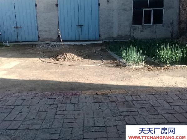 大通独院出租共计1000平米大车出入方便院内光线好