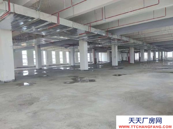 九江市浔阳物资仓库  带免租园区仓库对外直招 无转让费 随时可入驻