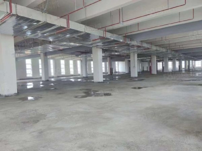 九江市浔阳物资仓库  带免租园区仓库对外直招 无转让费 随时可入驻