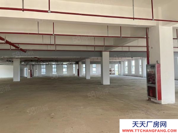 九江市浔阳物资仓库  带免租园区仓库对外直招 无转让费 随时可入驻