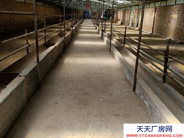 湟中出售自家养殖场条件优越，地址是高店下营乡，交通便利！