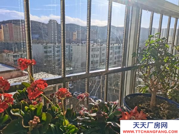 格尔木房子位于东村彩门口，平房