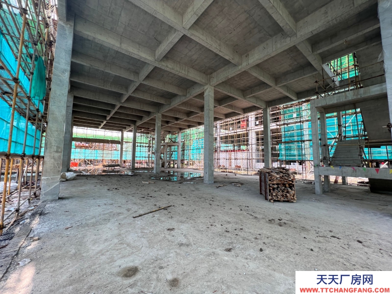嘉兴海盐独栋2-3层全新厂房出售