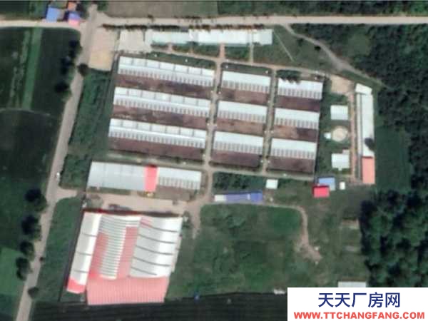 互助标准化养殖基地全套转让出售
