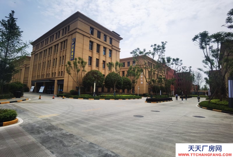 温江厂房现房出租医疗器械主题性园区