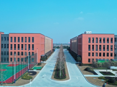 双流区全新厂房招商可分割产权图2
