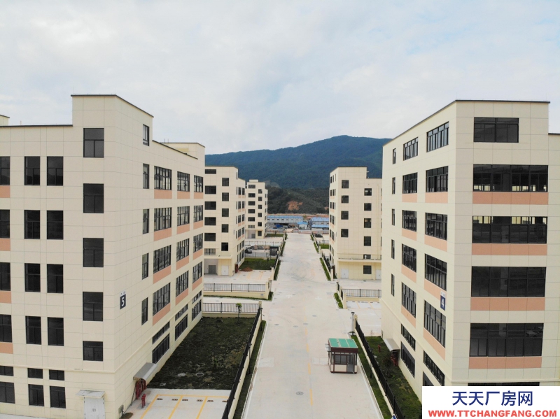 买厂房 找万洋 量身定制 首付20%