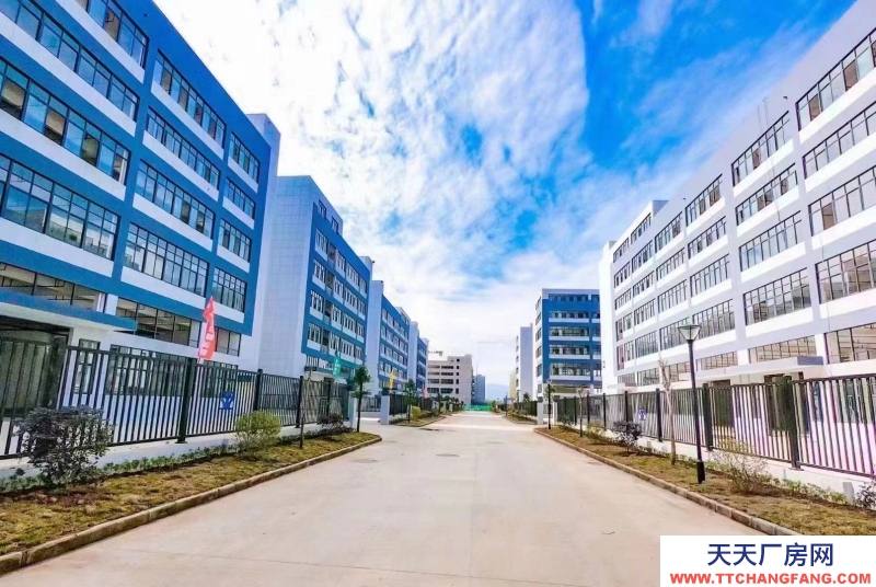 五十年产权厂房 首款10% 按需定制 独门独院