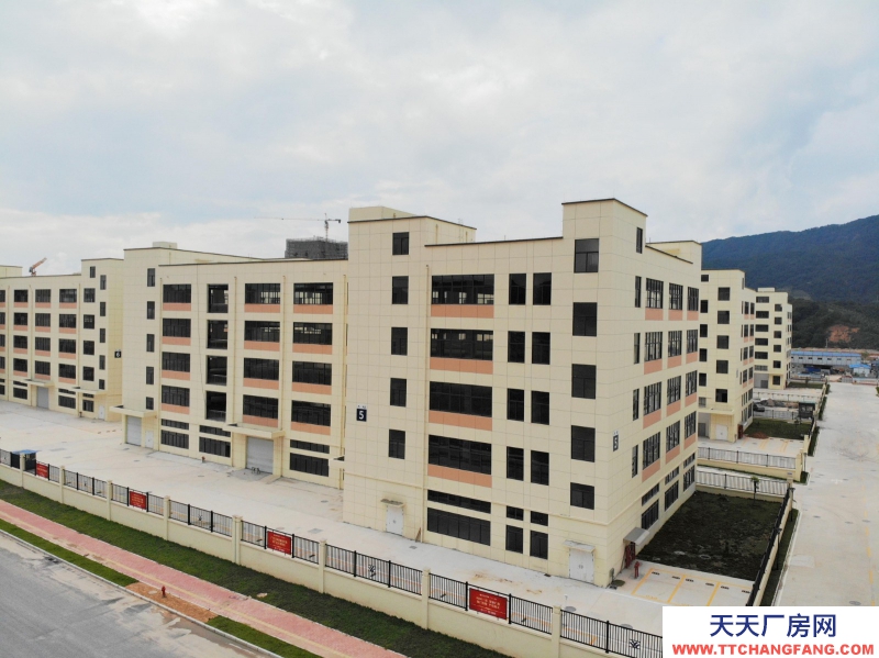佛冈：买厂房 找万洋 量身定制 首付20%  +15918796713