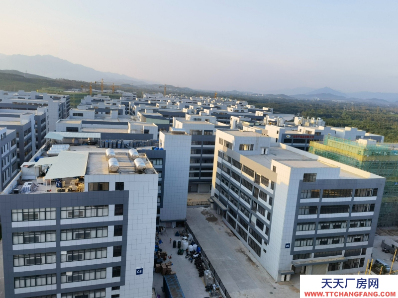 50年产权，独门独院独栋（送院子）按需定制，首付款1成