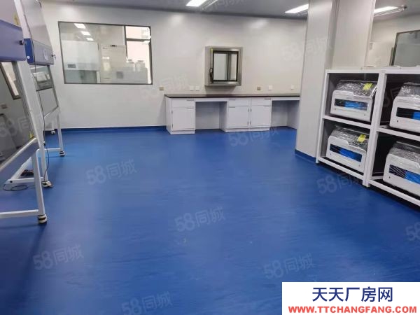 和平满融800平制药厂房科技型产业租金减免，一楼7.2举架生产研发。