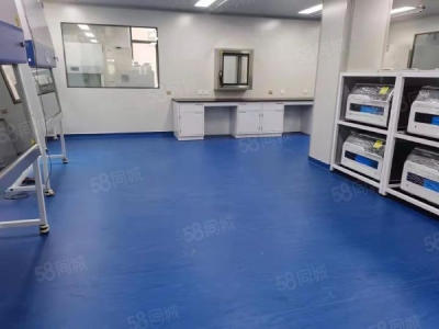 和平满融800平制药厂房科技型产业租金减免，一楼7.2举架生产研发。图1