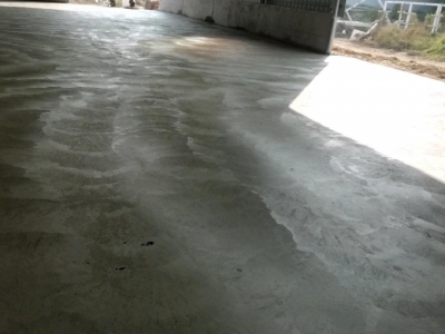 定州 西城(调味品厂房出租) 胜利街1100平库房厂房出租图1
