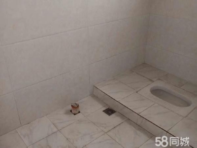 宜春市袁州物资仓库 碧桂园凤凰城对面安置小区 仓库 单层130平米图2