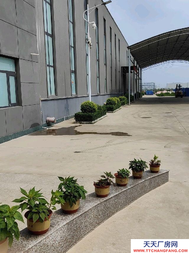 定州 西城(饮料厂房出租) 地理位置优越，离定州西高速口1