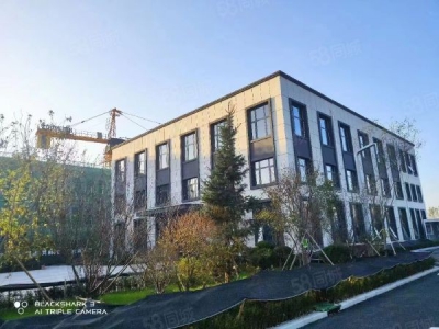 大东独门独院工业园区，厂房，库房，高举架独立入户图1