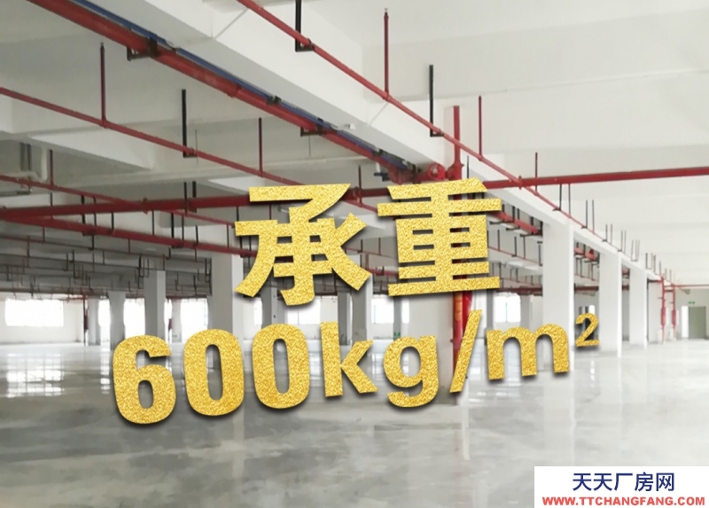 英德市英红镇私人定制，独门独院，价格实惠