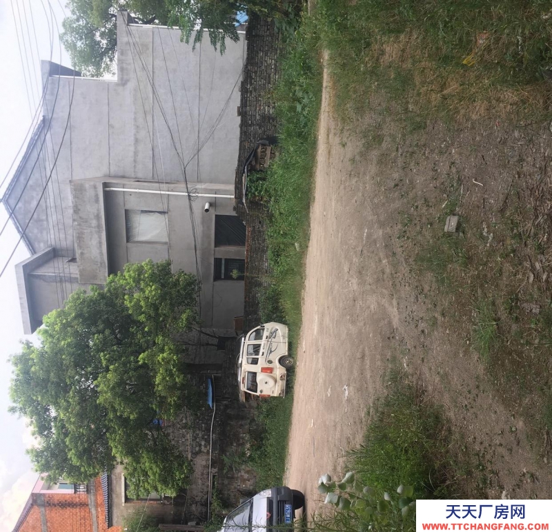 台州市天台(出租) 房租便宜581005