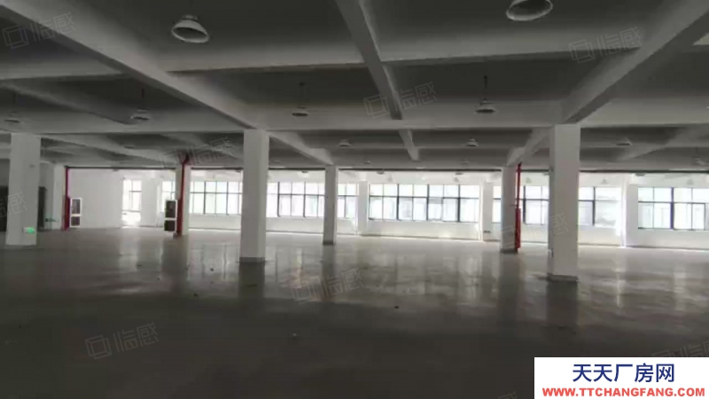 台州市仙居(出租) 3楼厂房出租2200平 大平层 3吨货梯公寓餐厅安保等配套