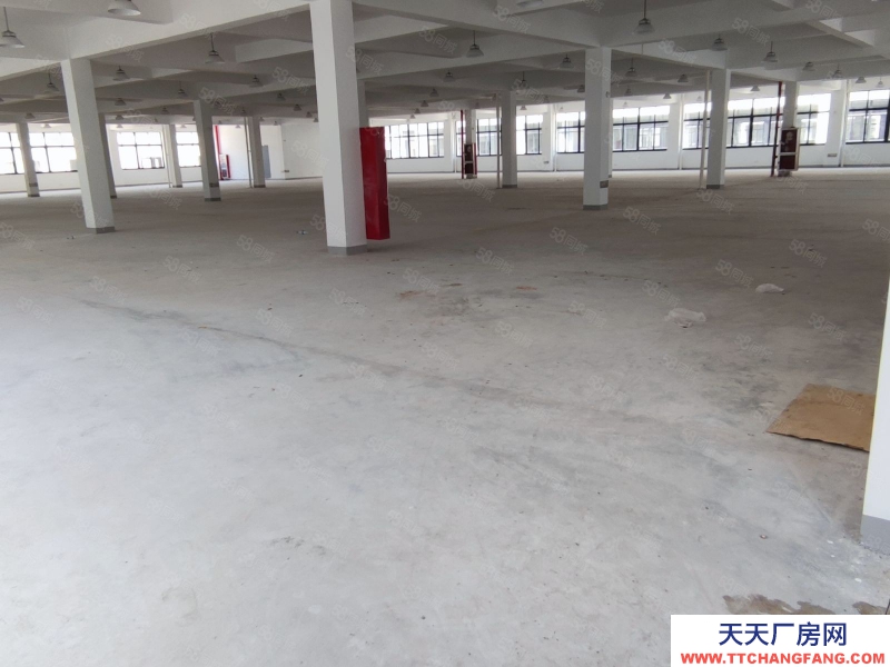 台州市仙居(出租) 3楼厂房出租2200平 大平层 3吨货梯公寓餐厅安保等配套