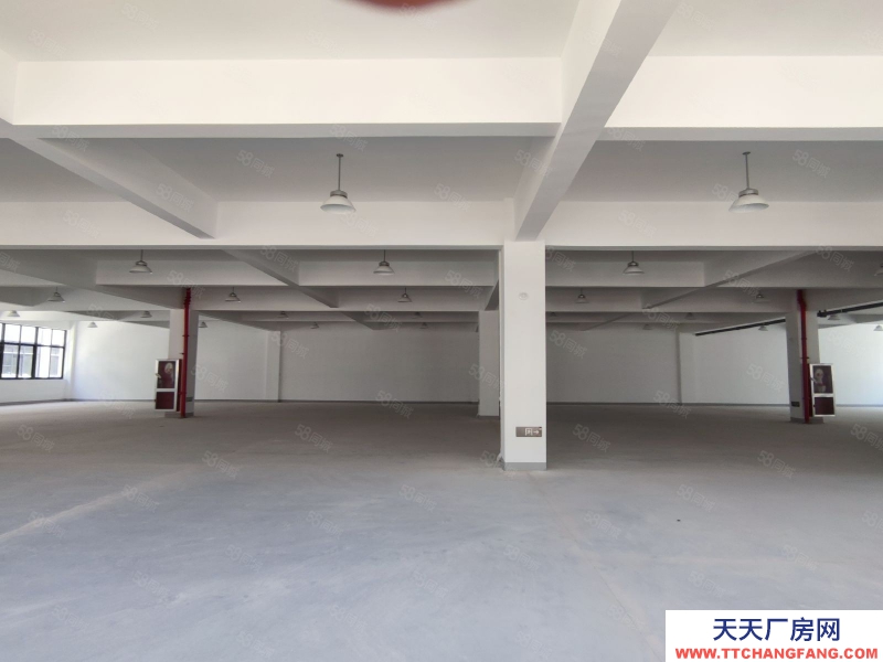 台州市仙居(出租) 2楼厂房出租1000平 4.2米高 配3吨货梯高速口框架结构