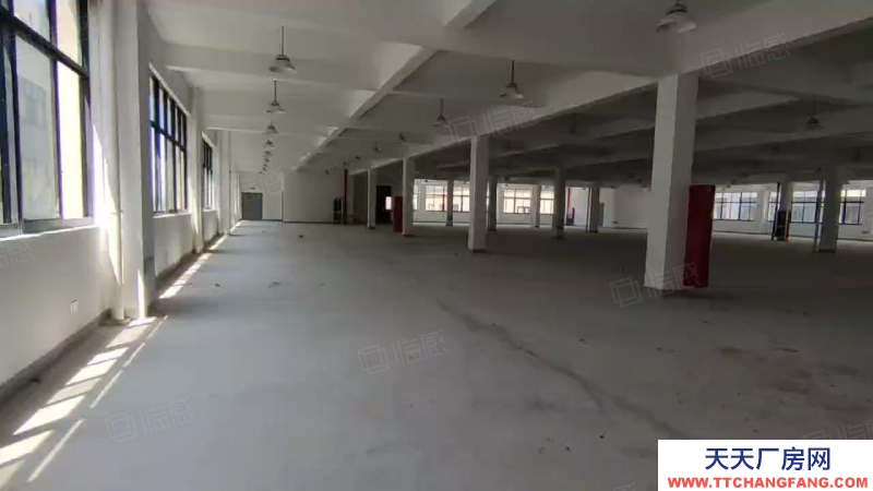 台州市仙居(出租) 4楼厂房出租 高速口 框架结构3吨货梯大平层公寓餐厅配套齐全