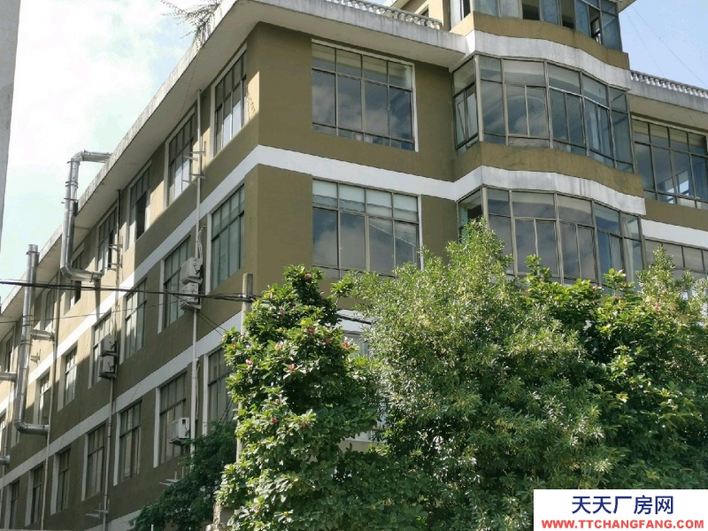 台州市仙居(出租) 工艺品城大马路边位置好，入出方便整租，独门独户 水果制品
