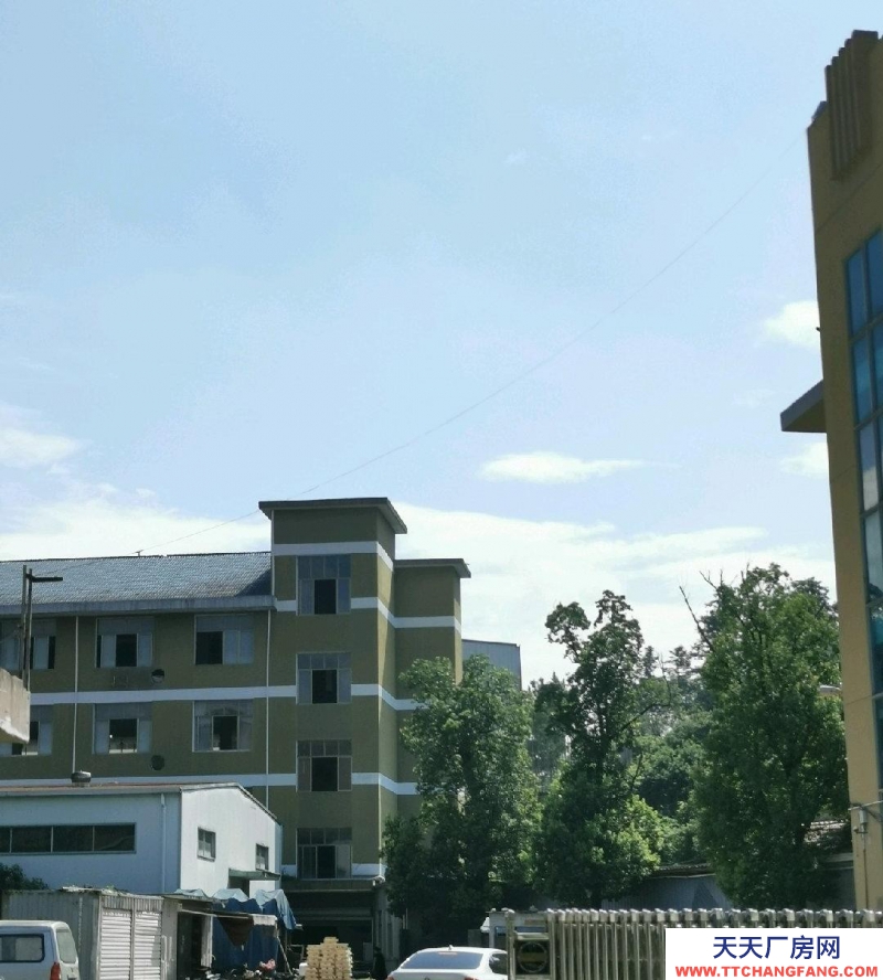 台州市仙居(出租) 工艺品城大马路边位置好，入出方便整租，独门独户 水果制品